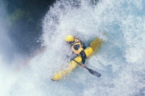 本土教练执教生涯缺少品牌化塑造思维，教练员的三种执教风格